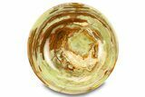 Polished Green Banded Calcite Bowl - Pakistan #301345-1